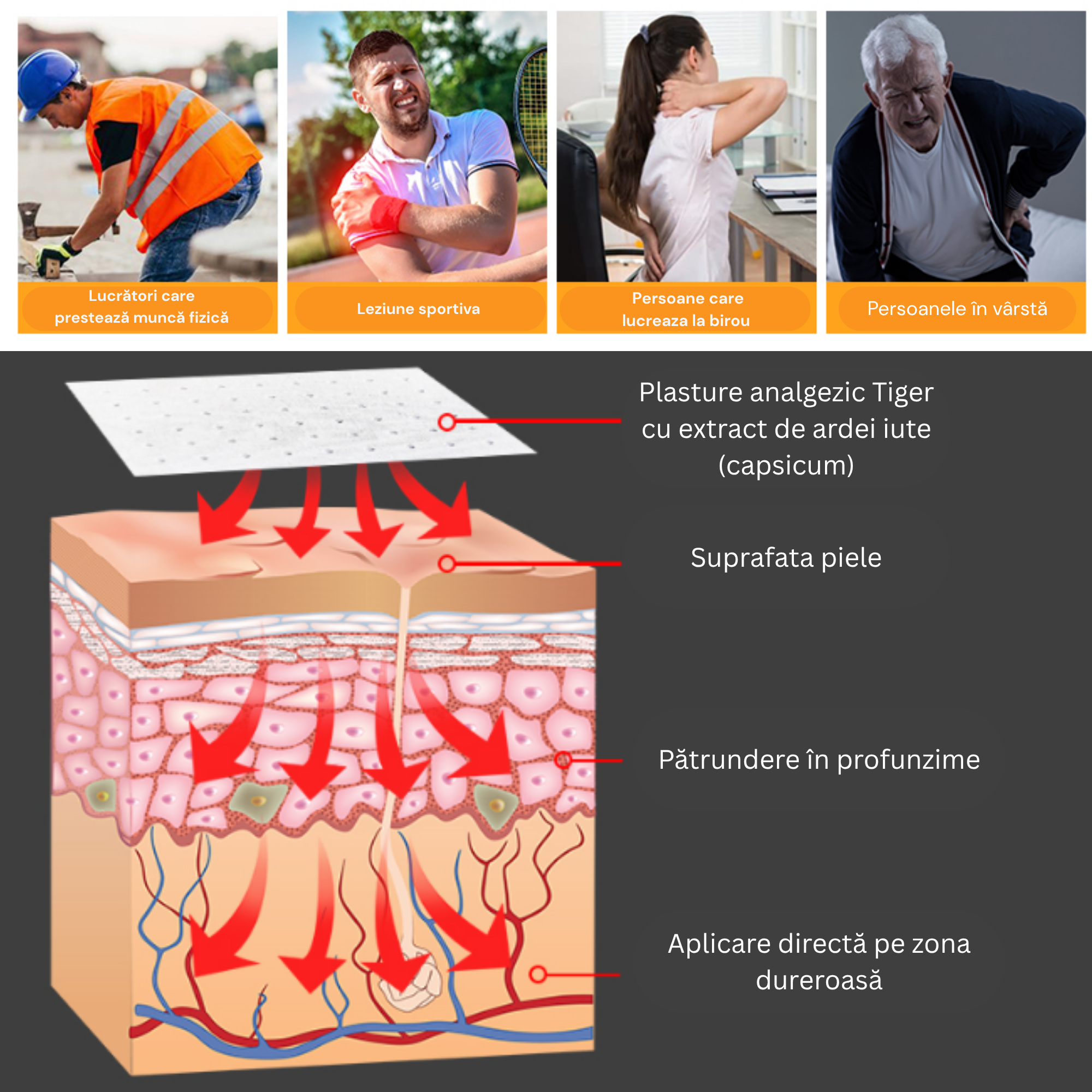 Poza produs